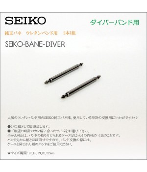 Seiko 21MM PINS