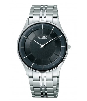 Citizen Collection AR3010-65E