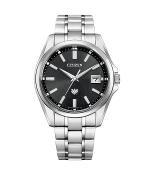 Citizen The Citizen AQ4091-56E